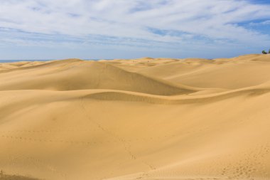 Maspalomas Duna - Kanarya adası Büyük Kanarya Çölü