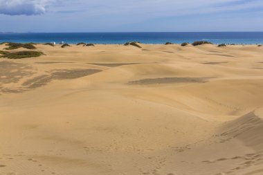 Maspalomas Duna - Kanarya adası Büyük Kanarya Çölü