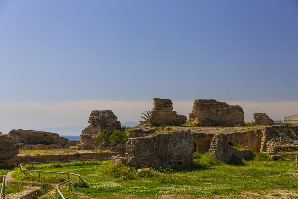 Ruines du vieux Carthage — Photo