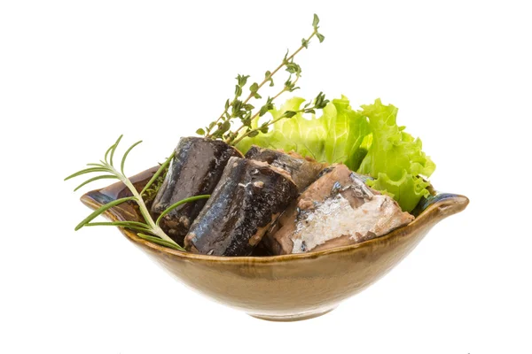 Tinned Pacific saury — kuvapankkivalokuva