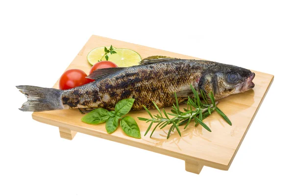 Roasted seabass — Stock Photo, Image