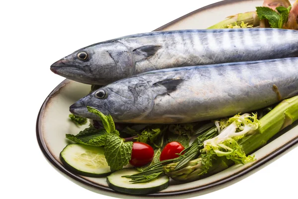 Čerstvé atlanticmackerel — Stock fotografie