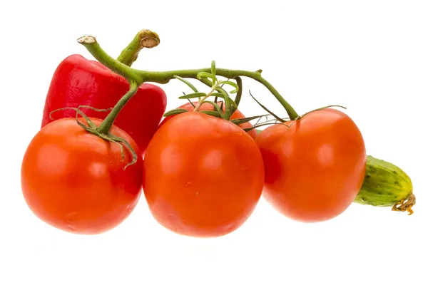 Röd paprika, tomat gren, gurka — Stockfoto