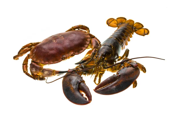 Raw Lobster and Crab — Stock Photo, Image