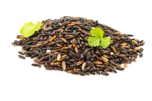 Arroz glutinoso negro — Foto de Stock