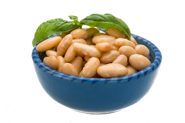 Fagioli in scatola — Foto Stock