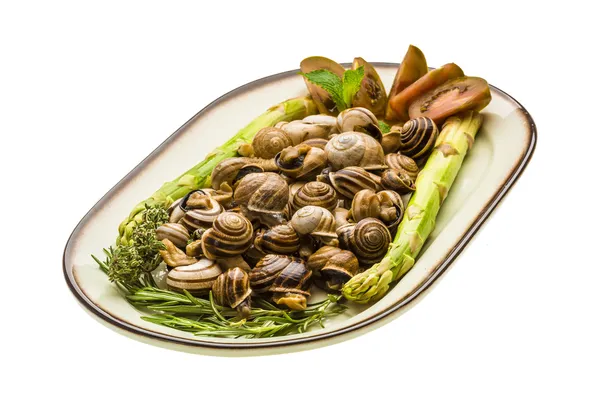 Escargot with asparagus, rosemary, thymus and tomato — Stock Photo, Image