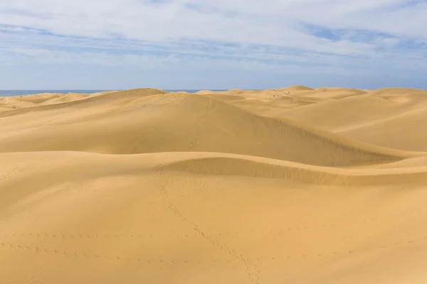 Maspalomas Duna - Pustynia na Wyspach Kanaryjskich Gran Canaria — Zdjęcie stockowe