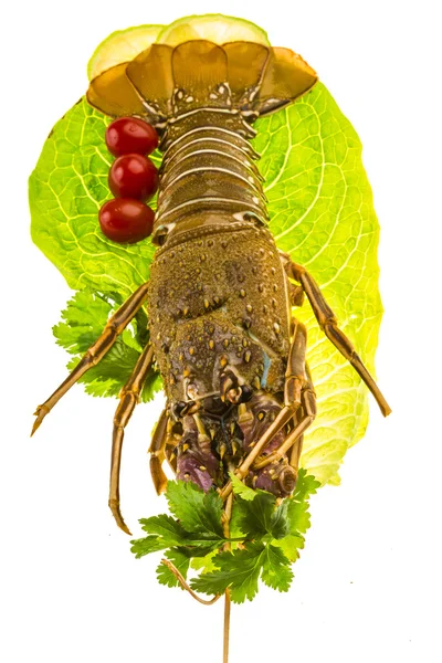 Raw spiny lobsters — Stock Photo, Image