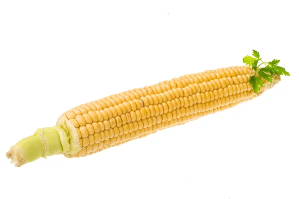 Corn — Stock Photo, Image