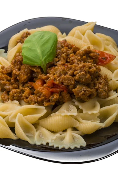 Bolognese — Stockfoto