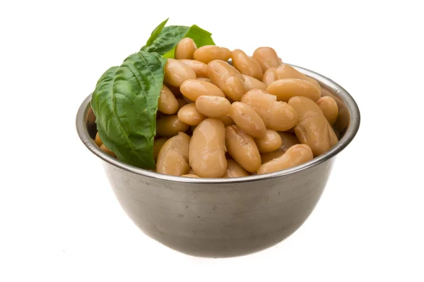 Fagioli in scatola — Foto Stock