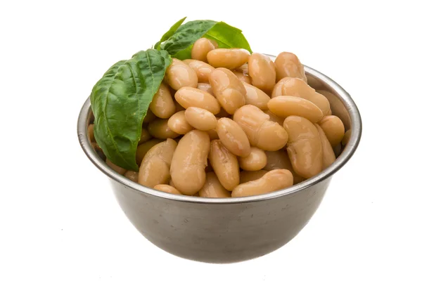 Tinned bean — Stock Photo, Image