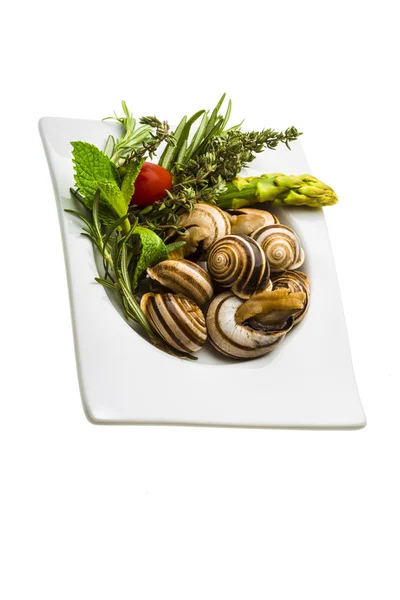 Escargot with asparagus, rosemary, thymus and tomato — Stock Photo, Image