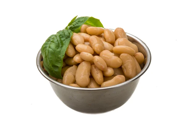 Fagioli in scatola — Foto Stock