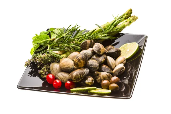 Spanish mollusc - Almeja — Stock Photo, Image