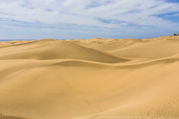 Maspalomas Duna - Woestijn op Canarische Eilanden Gran Canaria — Stockfoto