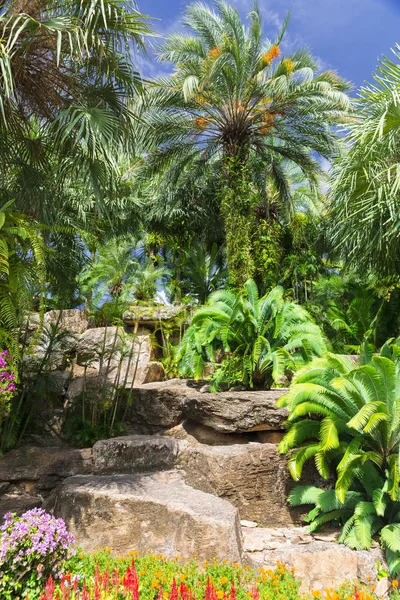 ノンヌッチ熱帯植物園 — ストック写真