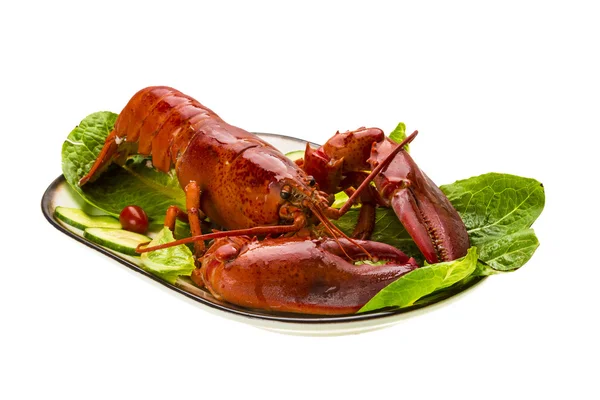 Large Lobster — Stock Photo, Image