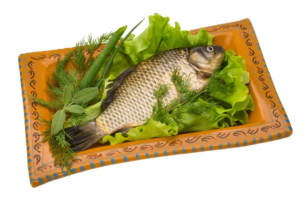 Crucian — Stock Image Crucian Stock Image
