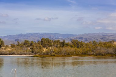 maspalomas dunas vahası
