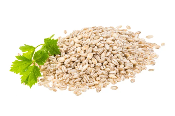 Pearl Barley — Stock Photo, Image