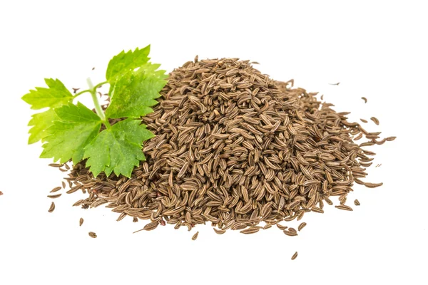 Caraway seeds — Stock Photo, Image