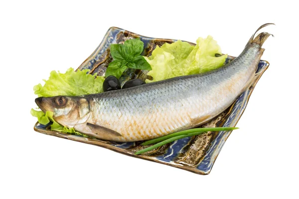 Salted Herring — Stock Photo, Image