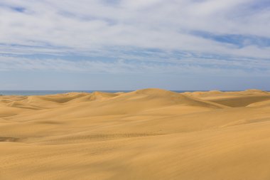 Maspalomas Duna - Kanarya adası Büyük Kanarya Çölü