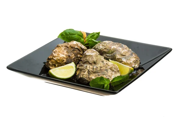 Fresh oyster — Stock Photo, Image