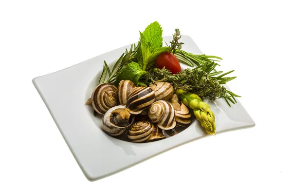 Escargot com espargos, alecrim, timo e tomate — Fotografia de Stock