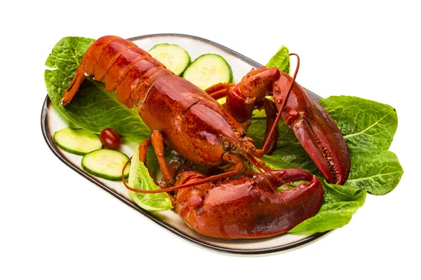 Large Lobster — Stock Photo, Image