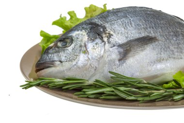 otlar ile ham dorado