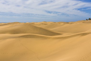 Maspalomas Duna - Kanarya adası Büyük Kanarya Çölü