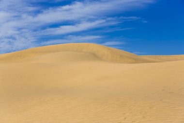 Maspalomas Duna - Kanarya adası Büyük Kanarya Çölü