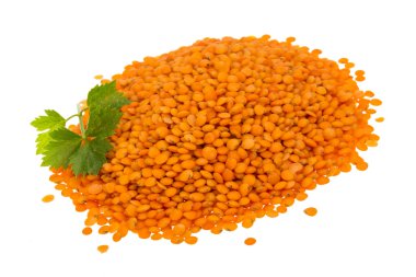 Kırmızı mercimek