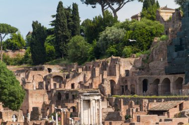 Bina kalıntıları ve antik sütunlar, Roma, İtalya