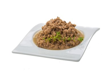 konserve ton balığı filetosu