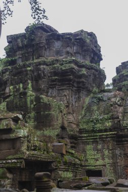 Angkor wat karmaşık