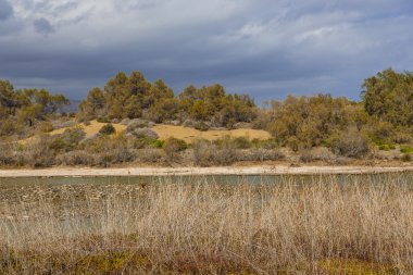 maspalomas dunas vahası
