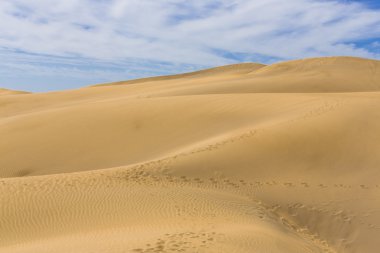 Maspalomas Duna - Kanarya adası Büyük Kanarya Çölü