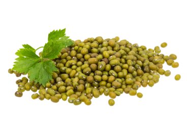 yeşil fasulye izole