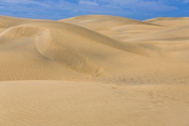 Maspalomas Duna - Kanarya adası Büyük Kanarya Çölü
