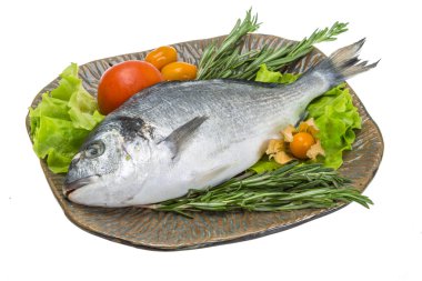 otlar ile ham dorado