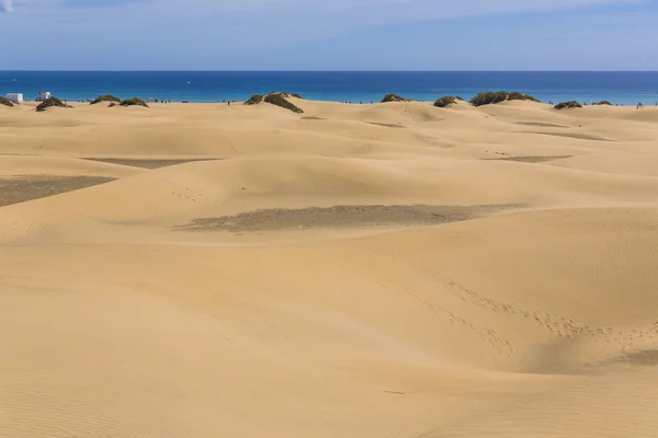 Maspalomas Duna - poušť na Kanárském ostrově Gran Canaria — Stock fotografie