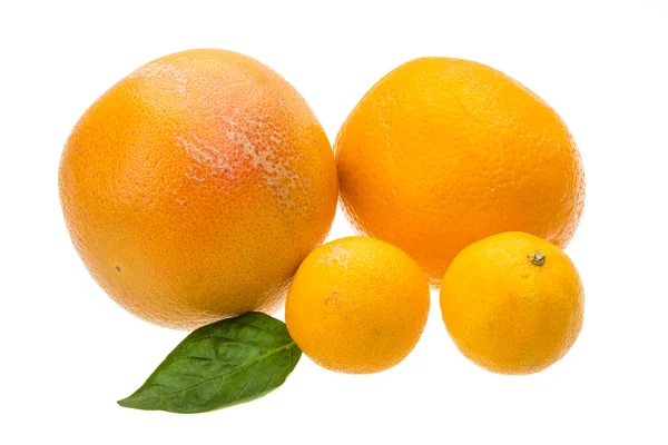 Grapefrukt, tangerin och apelsin — Stockfoto