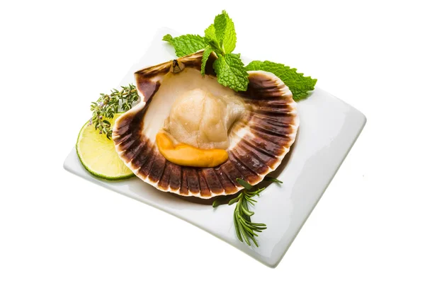 Scallop with asparagus, lime, mint and rosemary — Stock Photo, Image