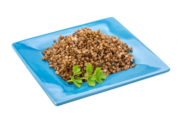 Buckwheat — Stock Photo, Image