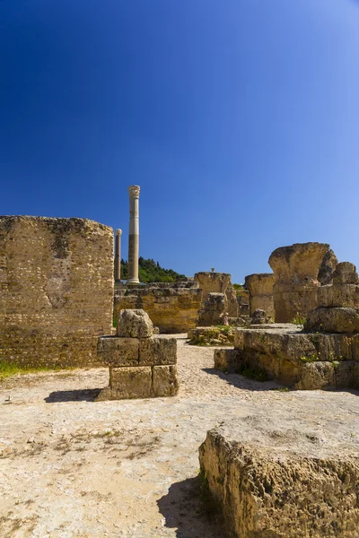 Antiguas ruinas de Cartago — Foto de Stock