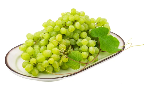 Green Grape — Stock Photo, Image